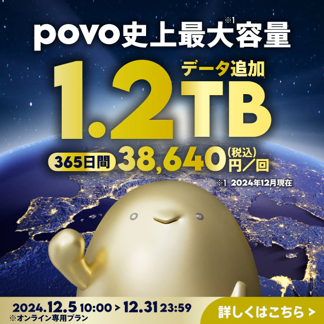 【期間限定】データ追加1.2TB(365日間)