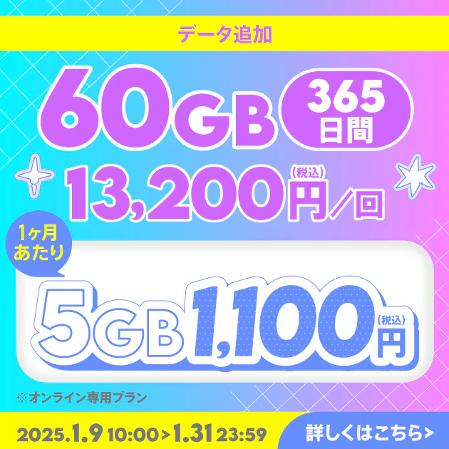 【期間限定】データ追加60GB(365日間)