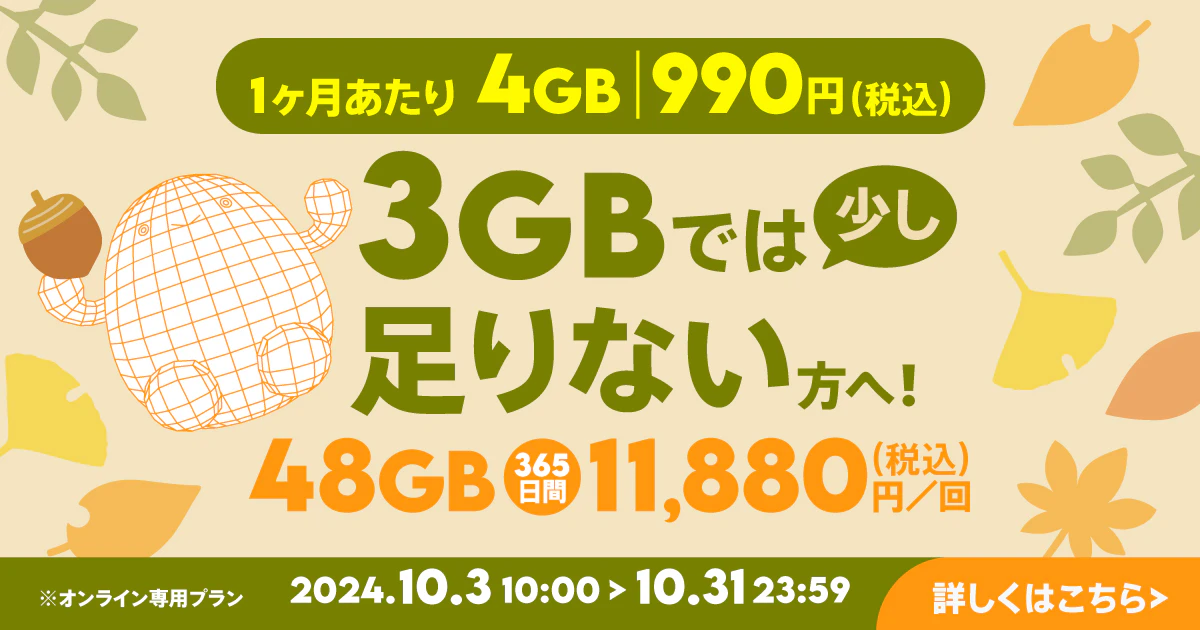 【期間限定】データ追加48GB（365日間）