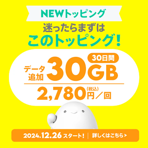 データ追加30GB（30日間）