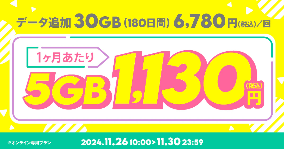 【期間限定】データ追加30GB(180日間)