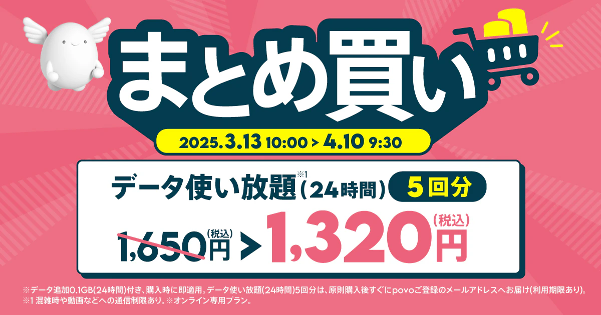 【期間限定】データ使い放題(24時間)5回分