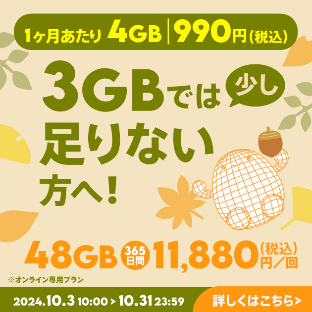 【期間限定】データ追加48GB（365日間）