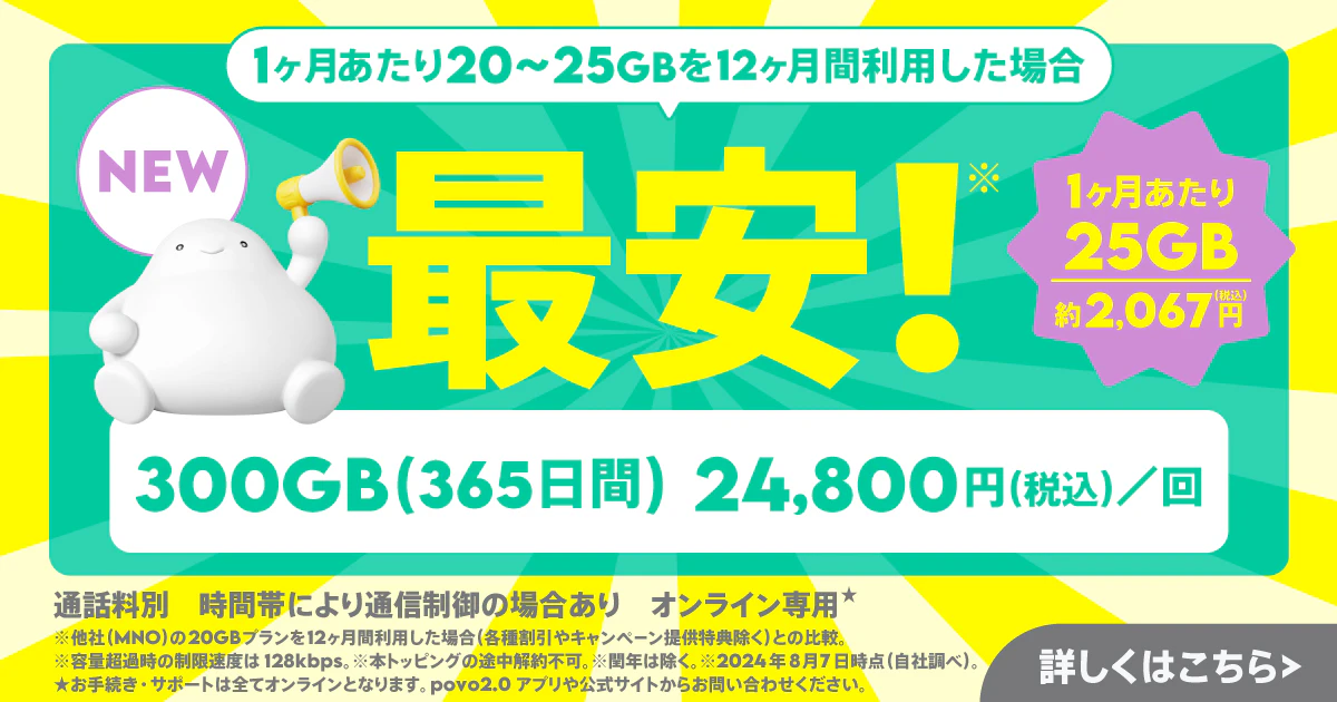 データ追加300GB/365日間