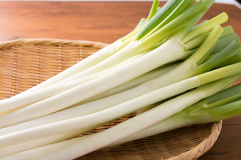 長ネギは冷凍でおいしさキープ!正しい保存方法と栄養や大量消費レシピ5選