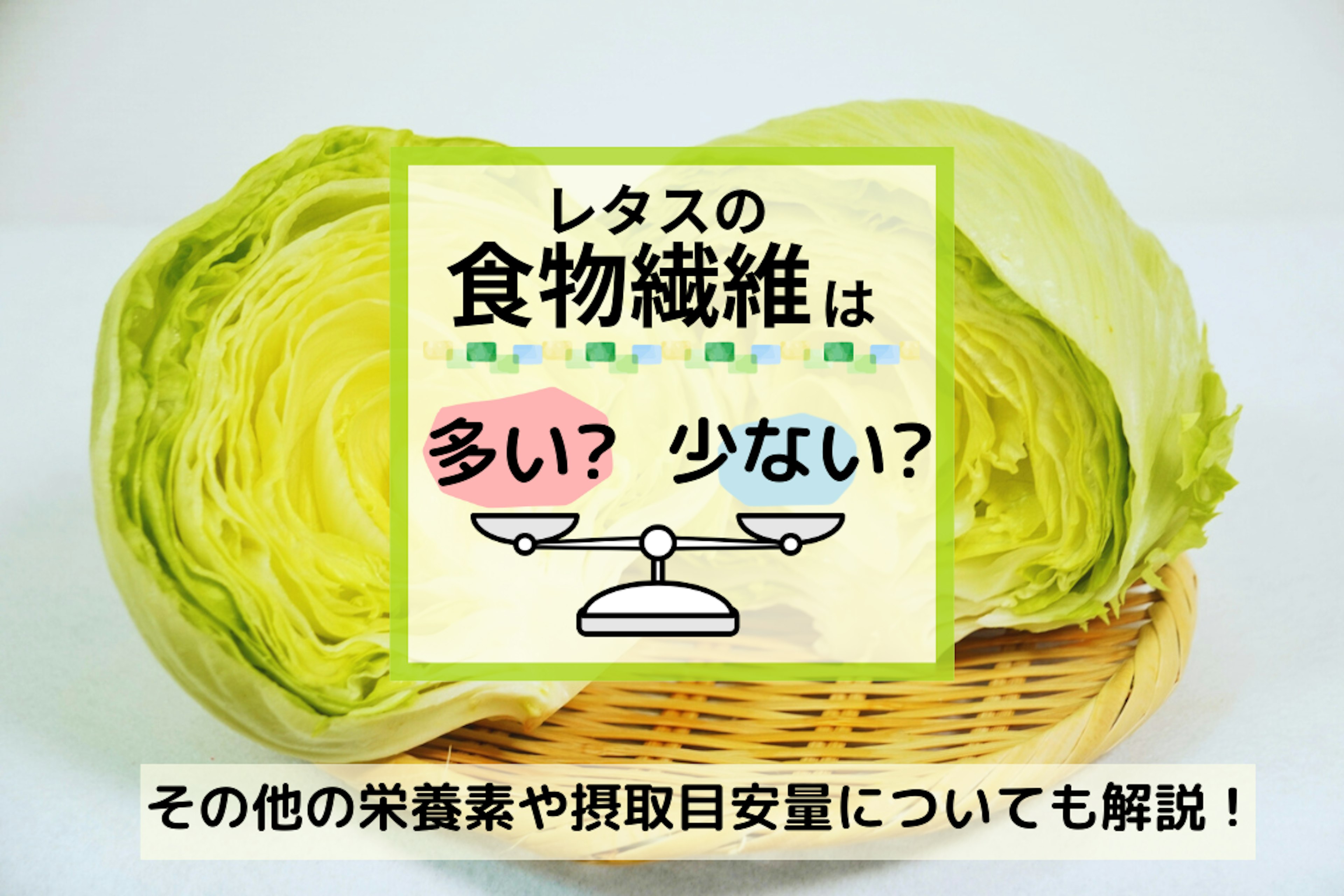 レタスの食物繊維は多い？少ない？その他の栄養素や摂取目安量についても解説！