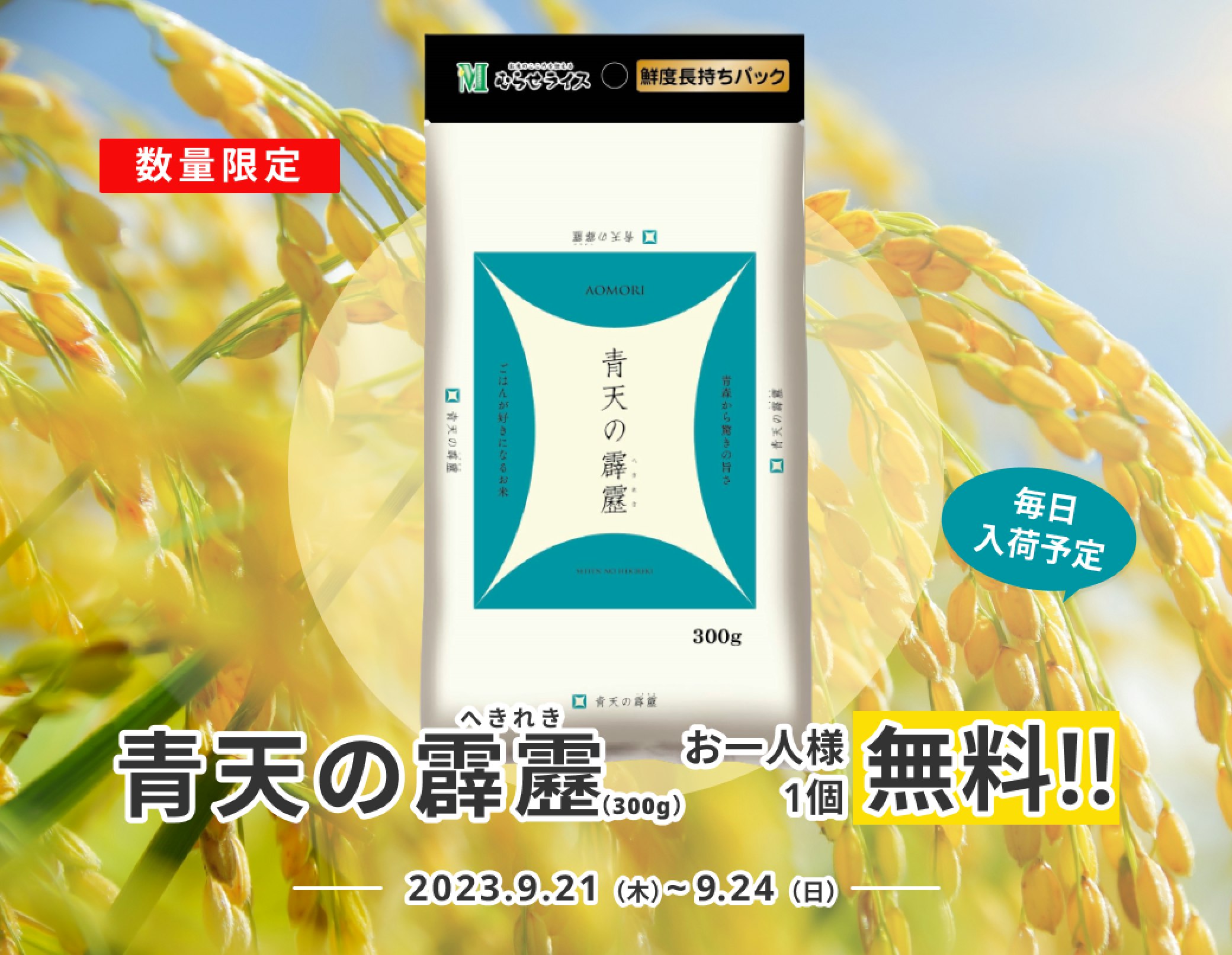 【お米プレゼント】青森が総力を上げて作ったブランド米「青天の霹靂」