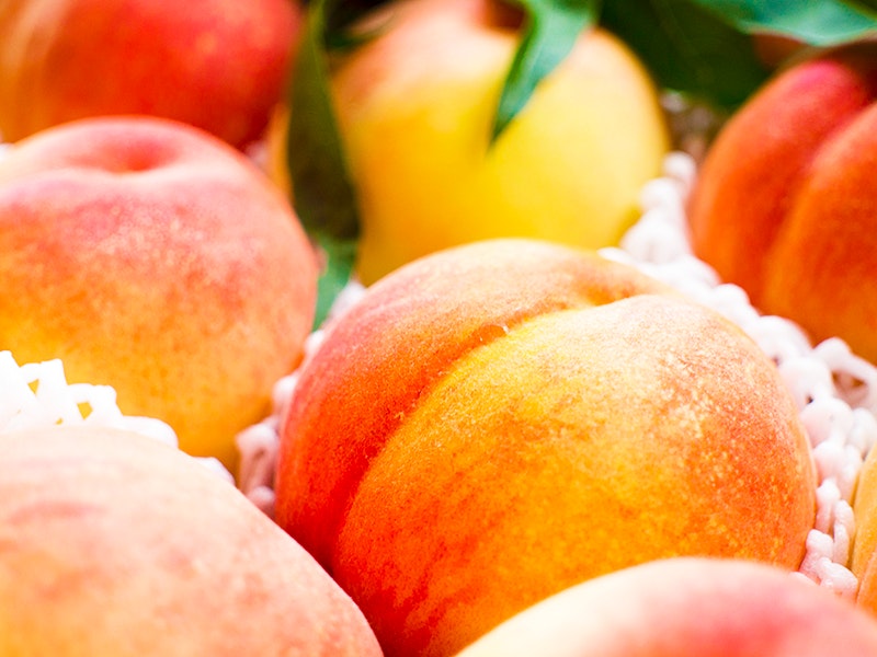 【8月の旬果物】甘い香りの桃！みずみずしくジューシーな果肉を味わおう