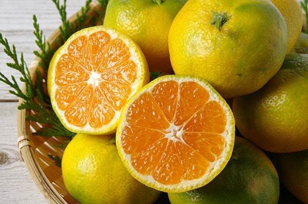 【10月の旬果物】風邪予防に免疫アップ!冬の美容食、みかんはビタミンCの宝庫