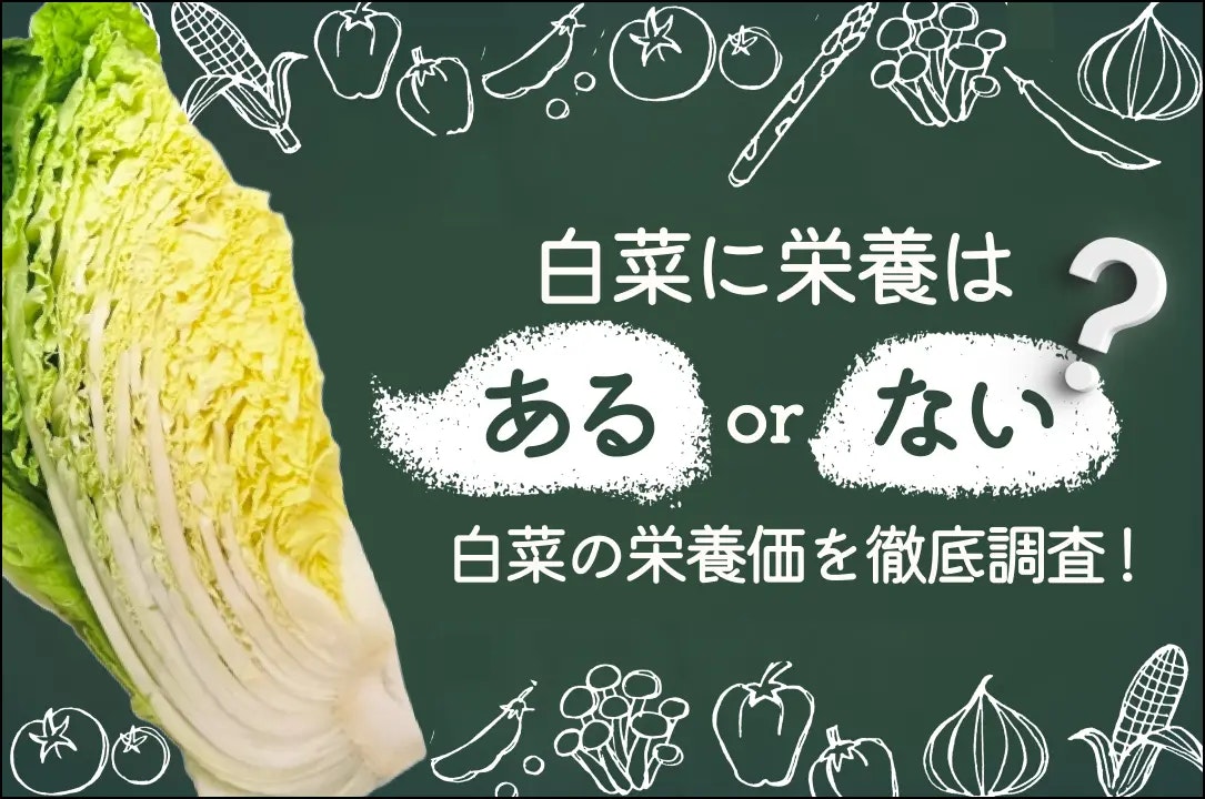 白菜に栄養はある?白菜の栄養価を徹底調査!