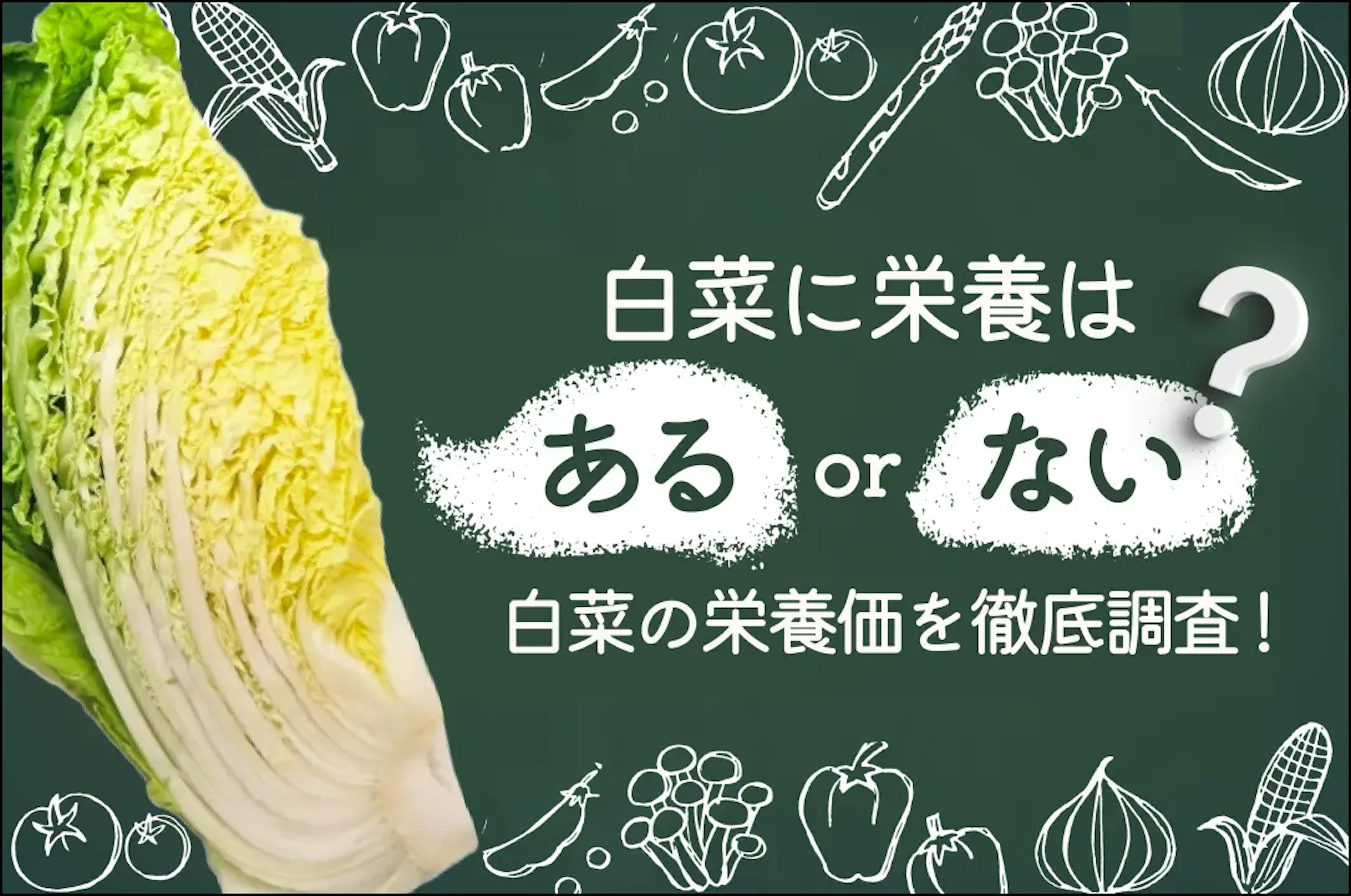 白菜に栄養はある？白菜の栄養価を徹底調査！