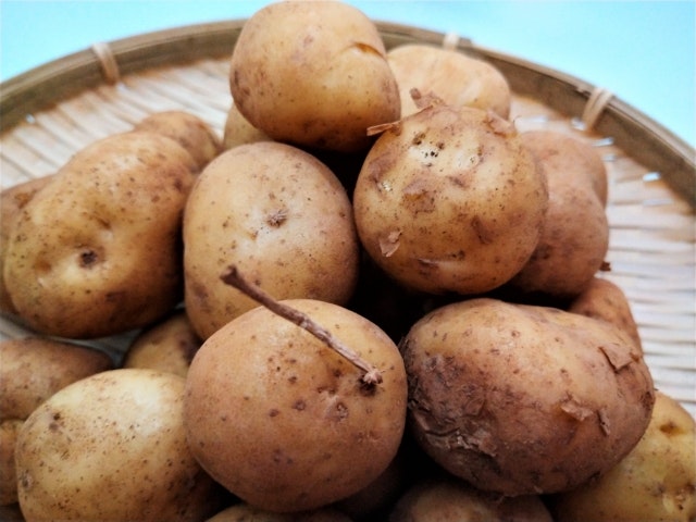 【5月の旬野菜】新じゃがいもはむくみ改善や美容の救世主⁉︎