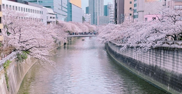 おしゃれで治安良し!待機児童数の数は?目黒区の子育て支援