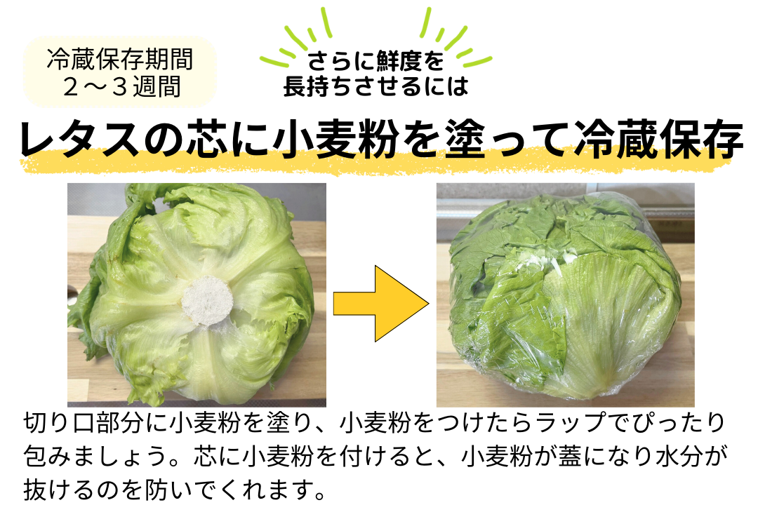 種類別！レタスを美味しく長持ちさせる保存方法／最長3週間、レタスの