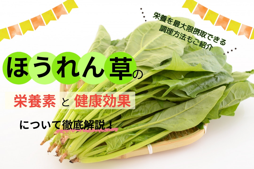 ほうれん草の栄養素と健康効果について徹底解説!栄養を最大限摂取できる調理方法もご紹介!