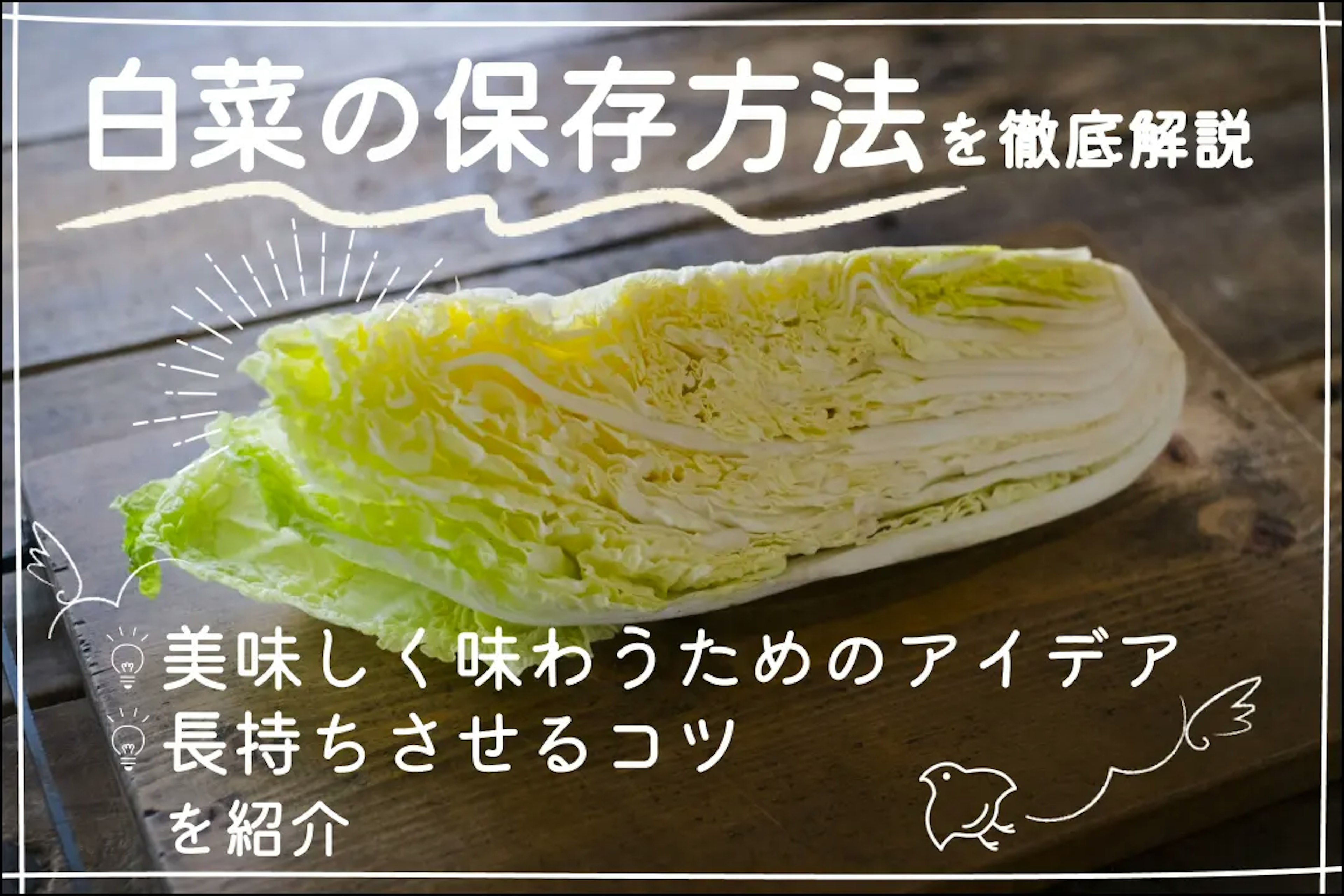 白菜の保存方法を徹底解説！長持ちさせるコツや美味しく味わうためのアイデアを紹介