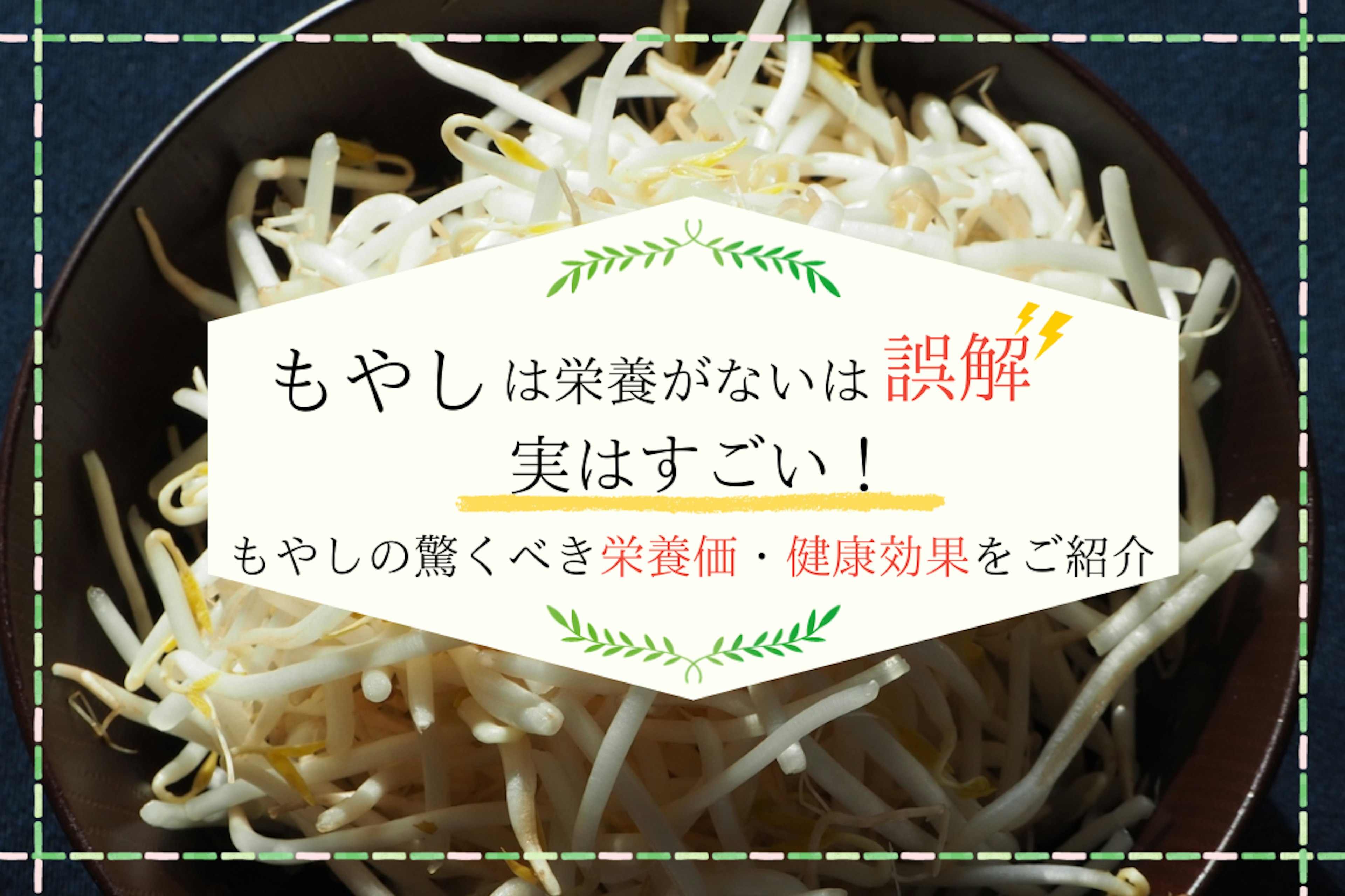 もやしは栄養がないは誤解／ 実はすごい！もやしの驚くべき栄養価・健康効果をご紹介