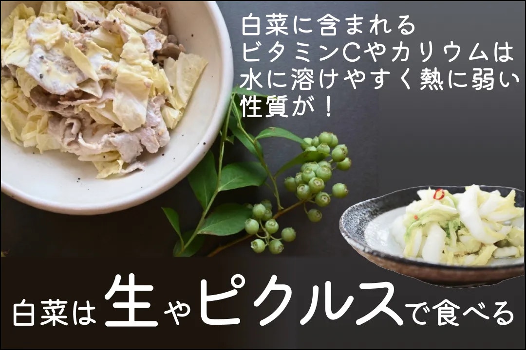 栄養を逃さず食べるには、白菜は生やピクルスで食べる