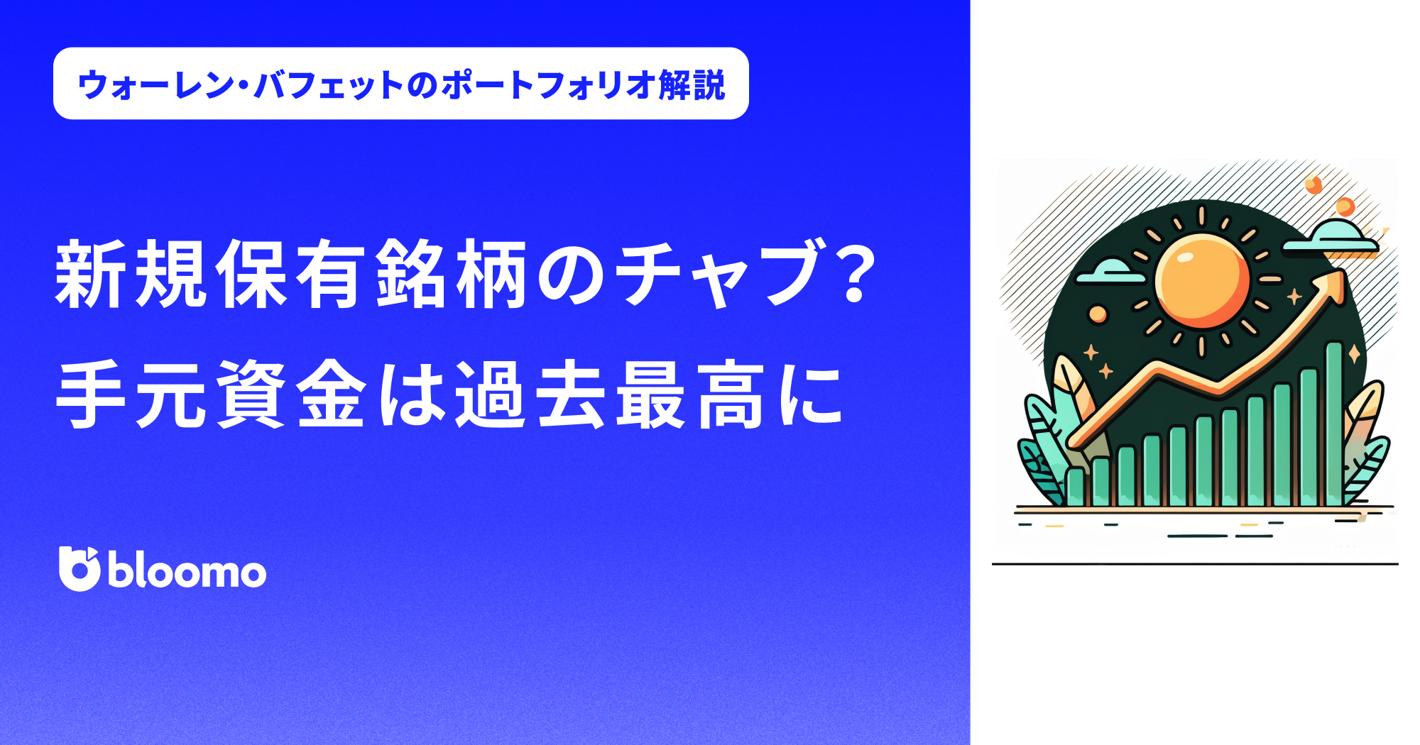 ウォーレン・バフェットのポートフォリオ解説】新規保有銘柄のチャブ？手元資金は過去最高に | ブルーモ証券｜世界基準の資産運用サービス（米国株・NISA）