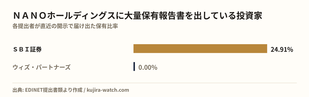Large shareholders of NANOホールディングス by reported stake