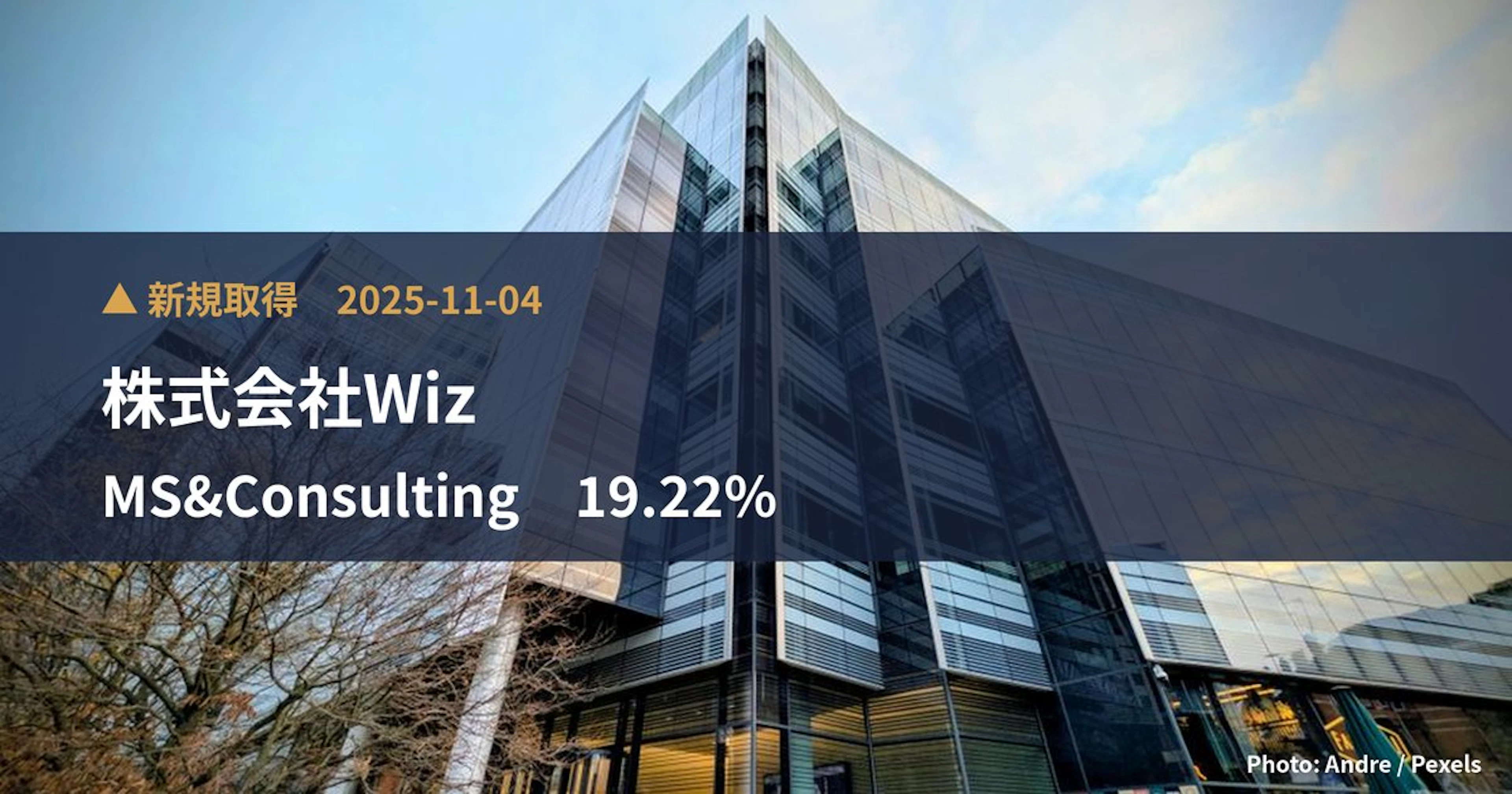 MS&Consulting（6555）、株式会社Wizが19.22%を新規保有｜大量保有報告書