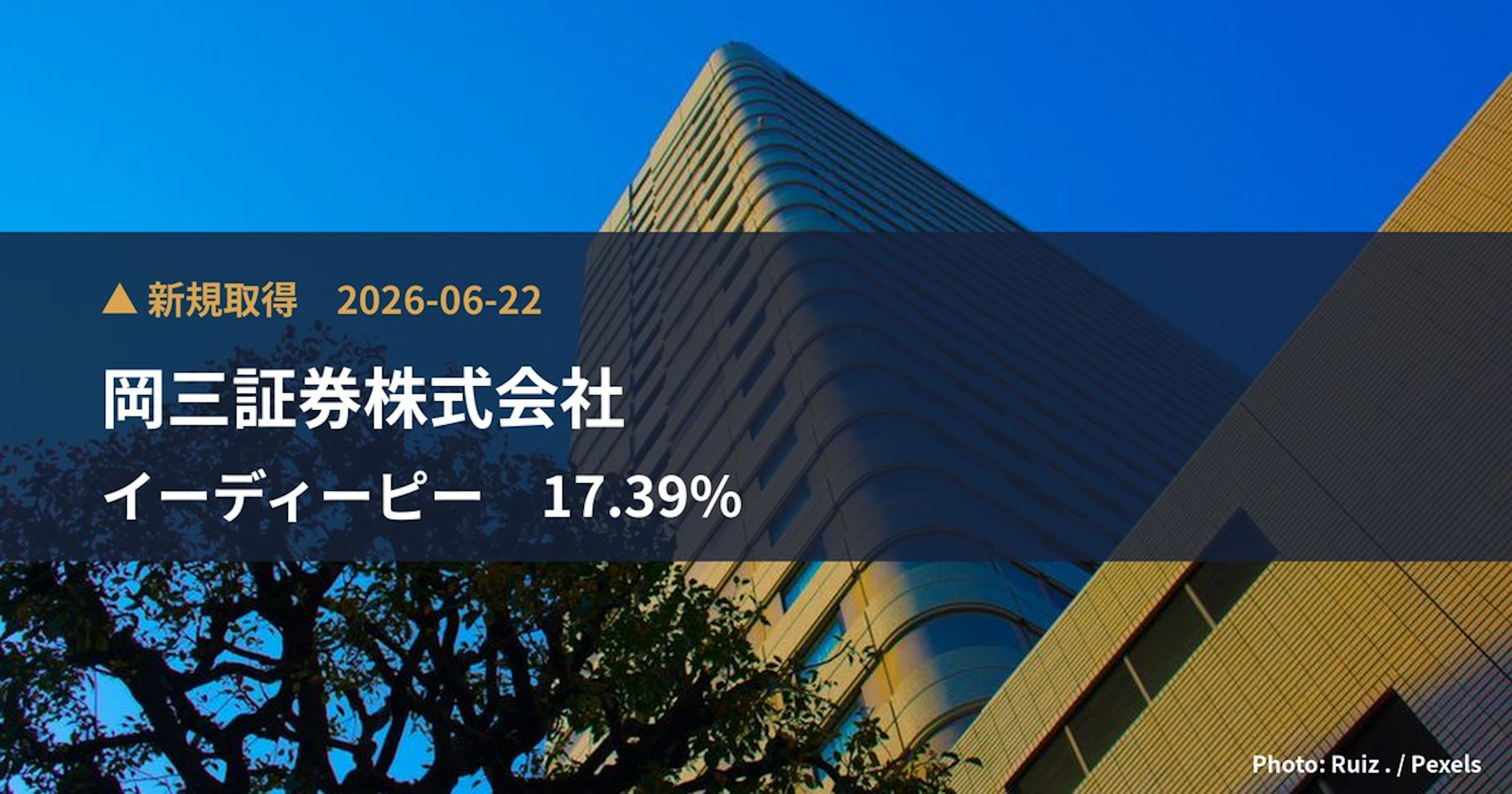 イーディーピー（7794）、岡三証券株式会社が17.39%を新規保有｜大量保有報告書