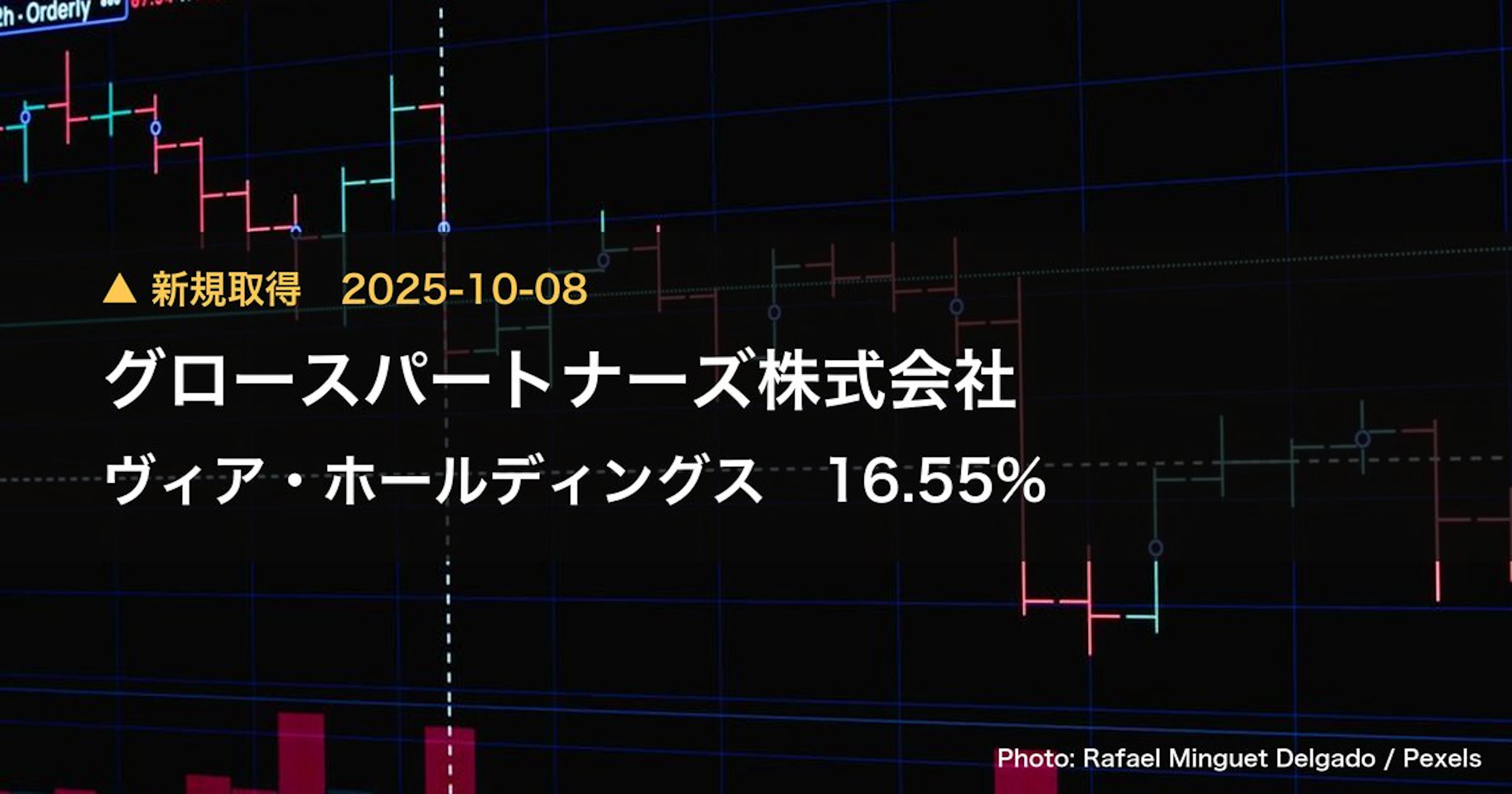 ヴィア・ホールディングス（7918）、グロースパートナーズ株式会社が28.4%を新規保有｜大量保有報告書