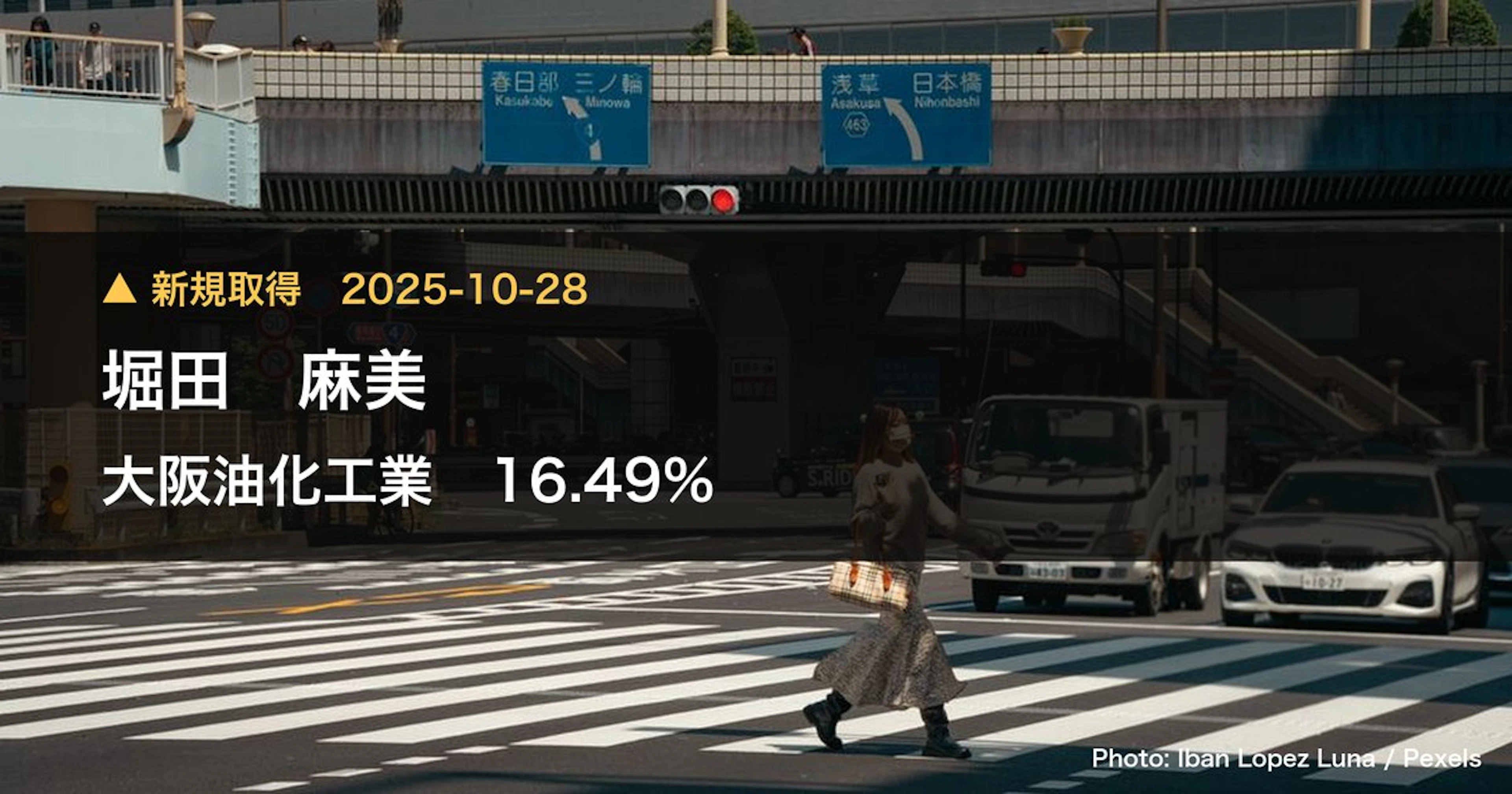 大阪油化工業（4124）、堀田 麻美が16.49%を新規保有｜大量保有報告書