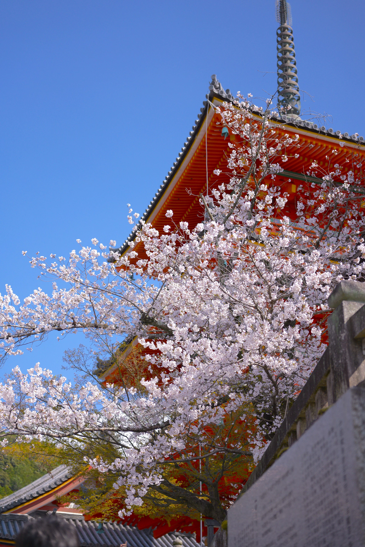 第8期決算旅行にいきました