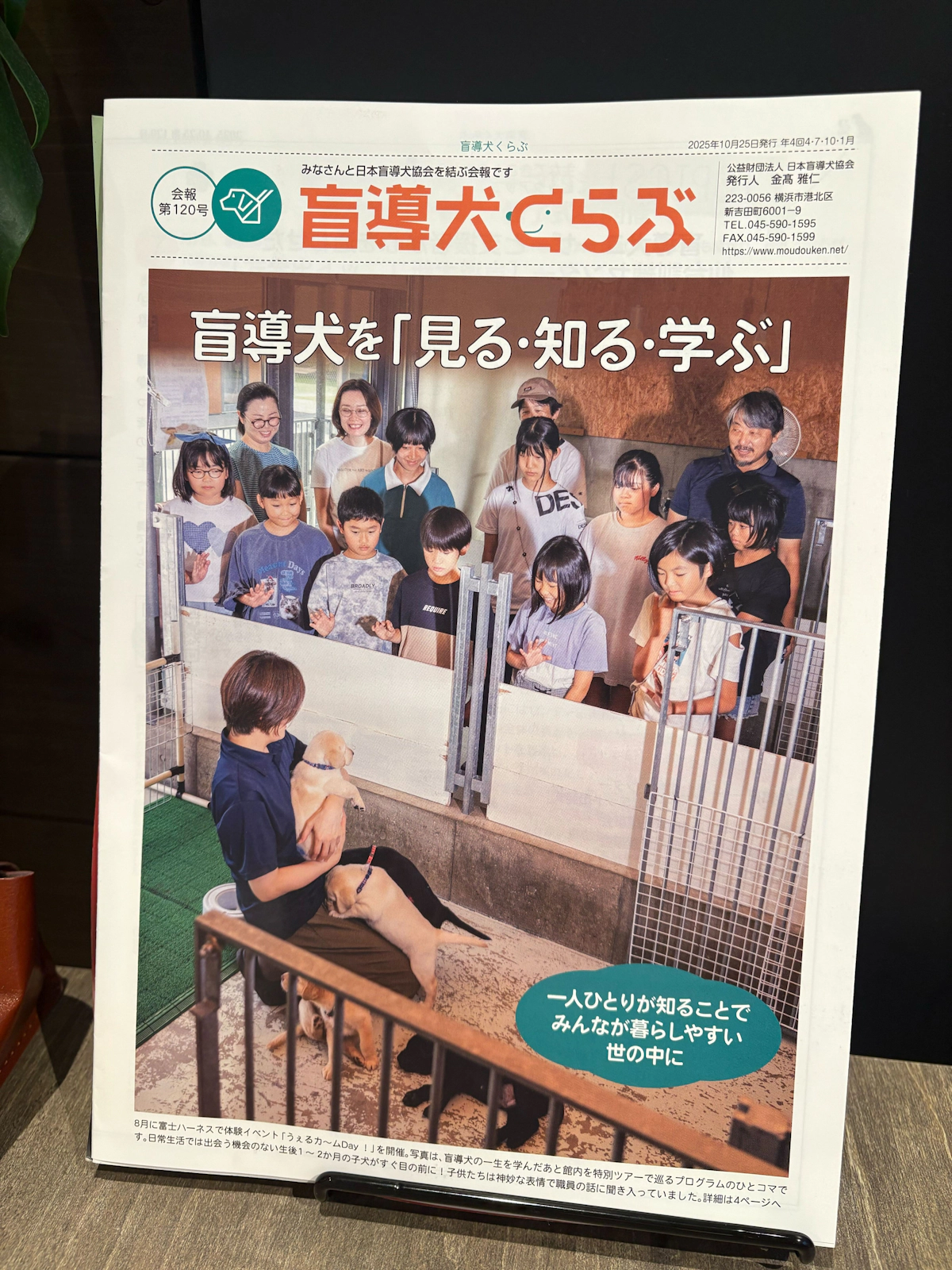 日本盲導犬協会から会報が届きました！