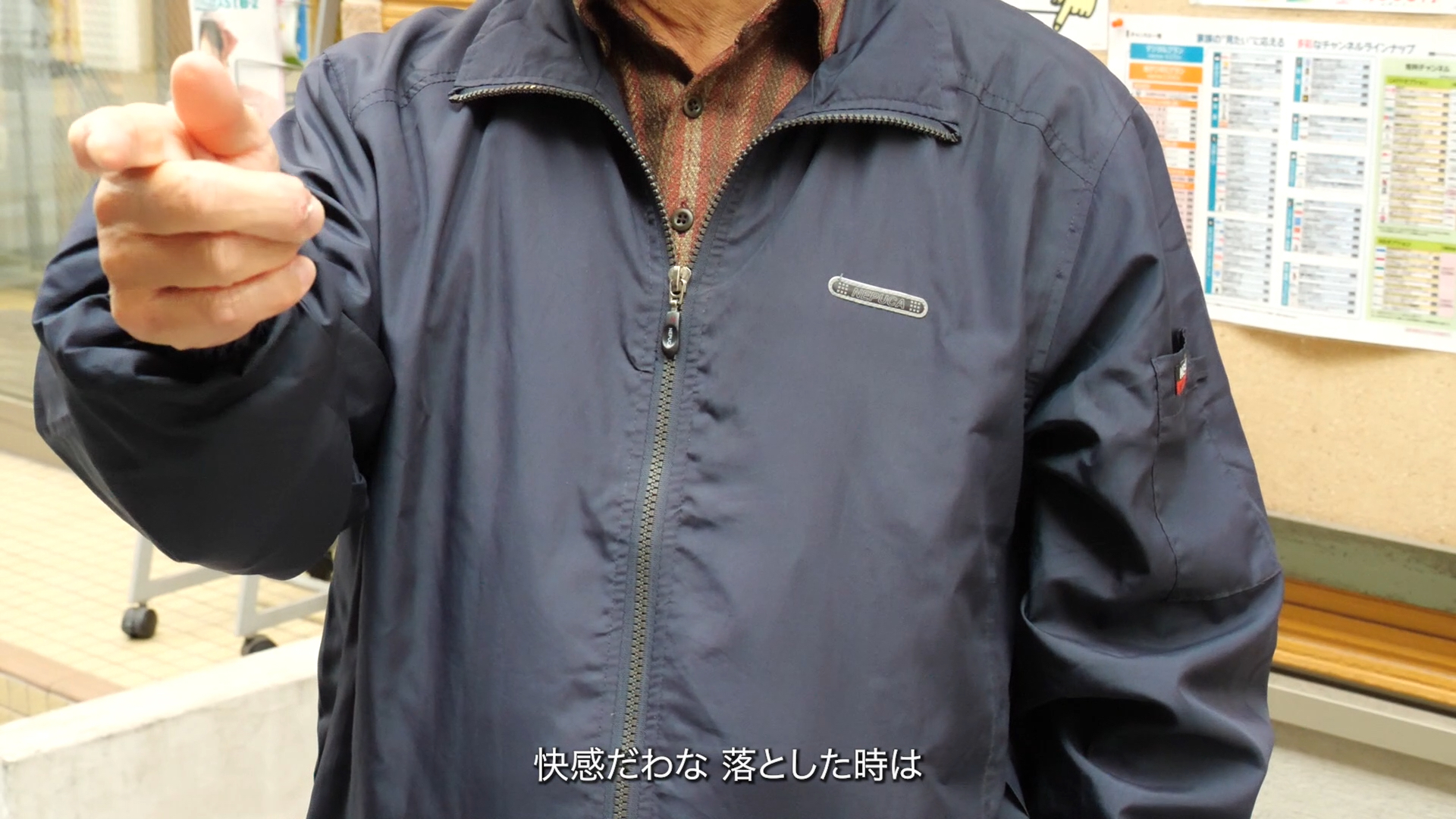 why do you kill (mosquitoes)?_image