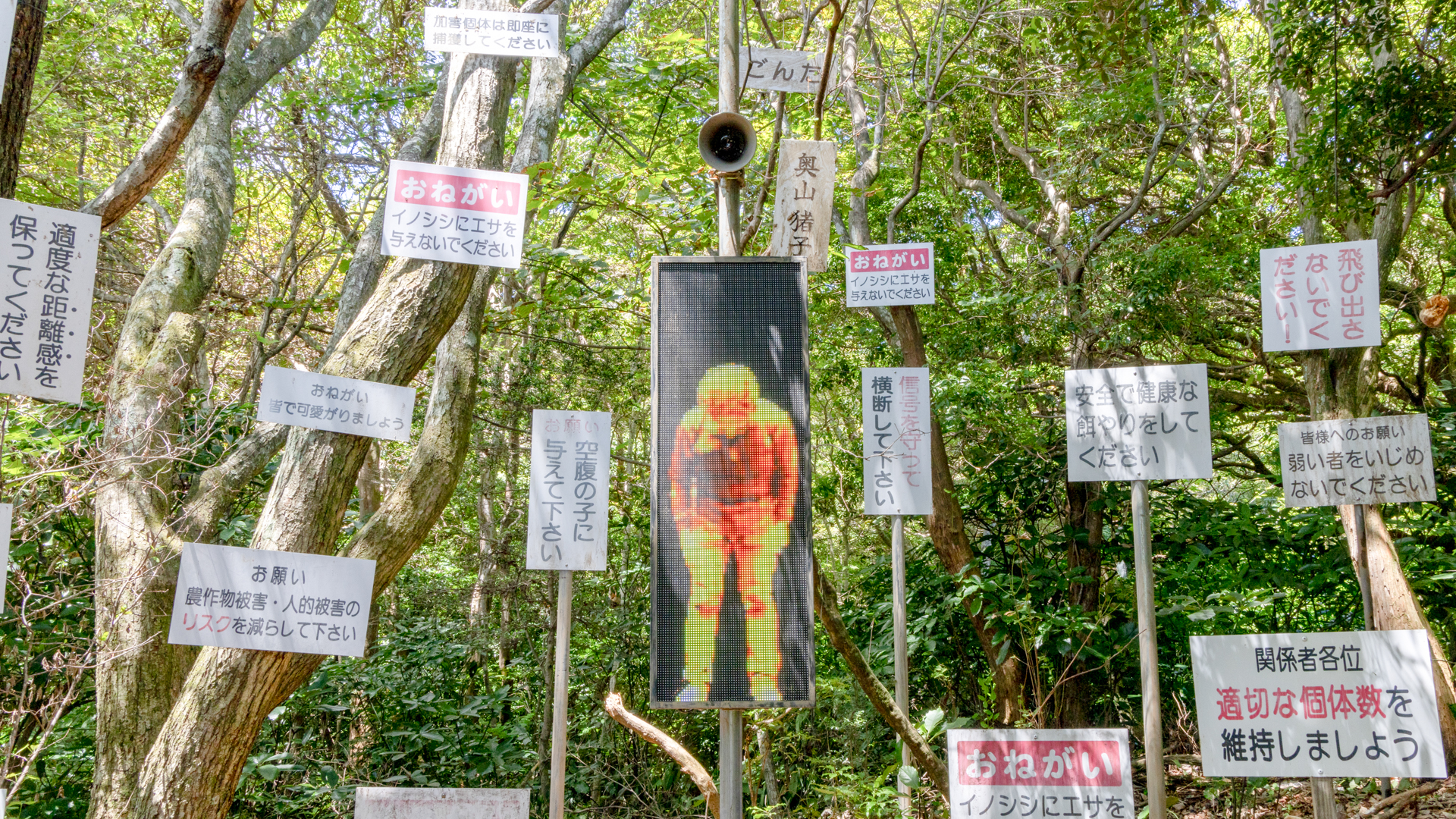 Request from Wild Boar Village_image