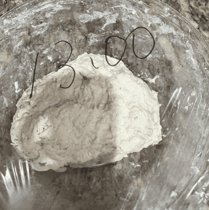 発酵前のパン生地