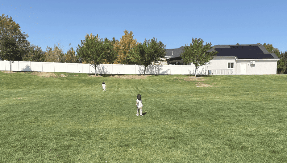芝生で遊ぶ子供