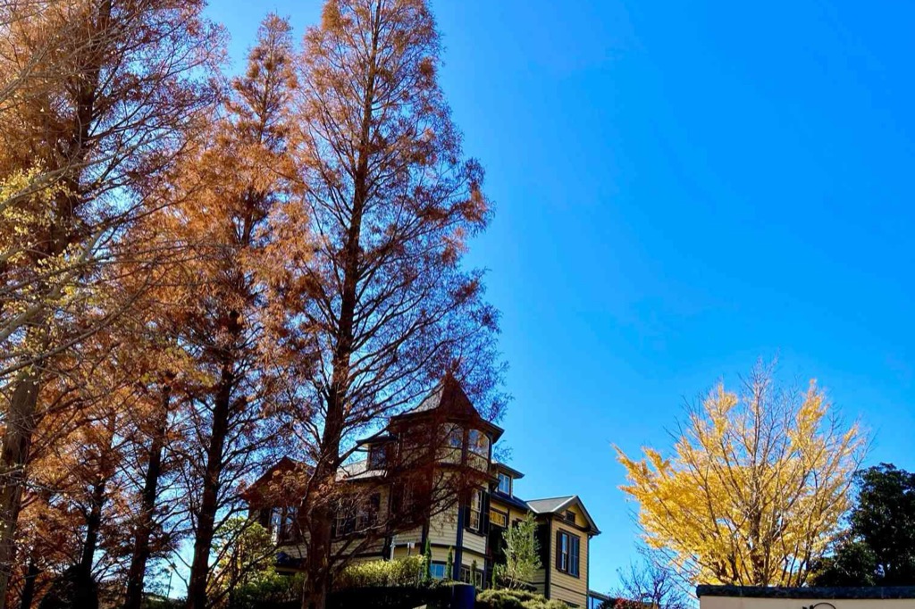 山手イタリア山庭園に色づいた木々