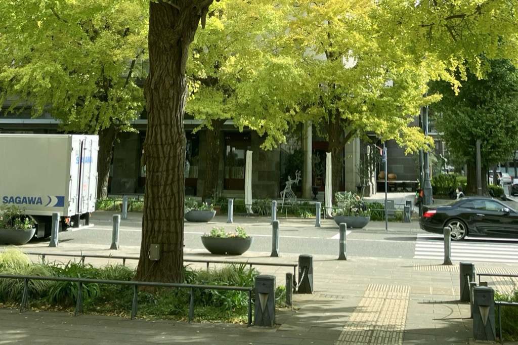 日本大通りのイチョウ並木と点字ブロックのある幅の広い歩道