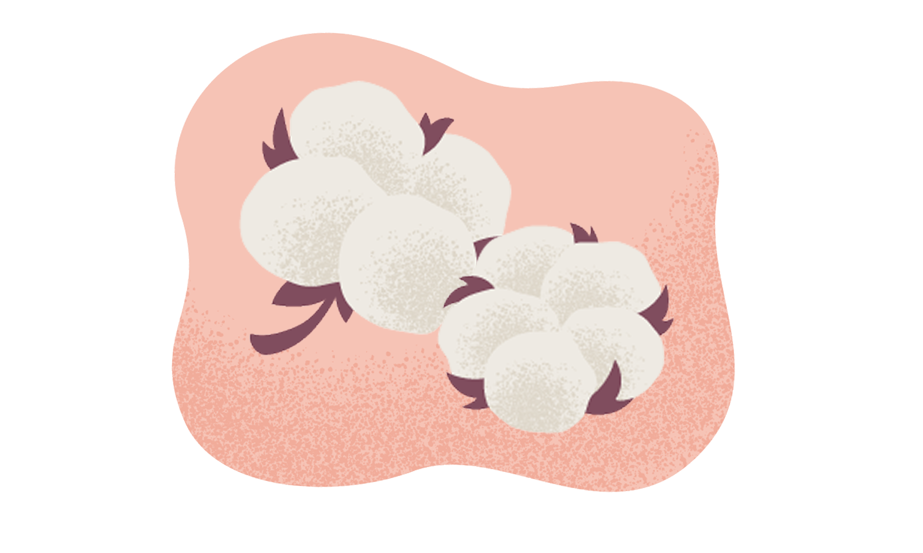 汗まで吸収！オーガニックコットンナプキン