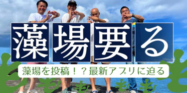海の救世主「藻」を大捜索！”藻場要る”アプリを使ってみた