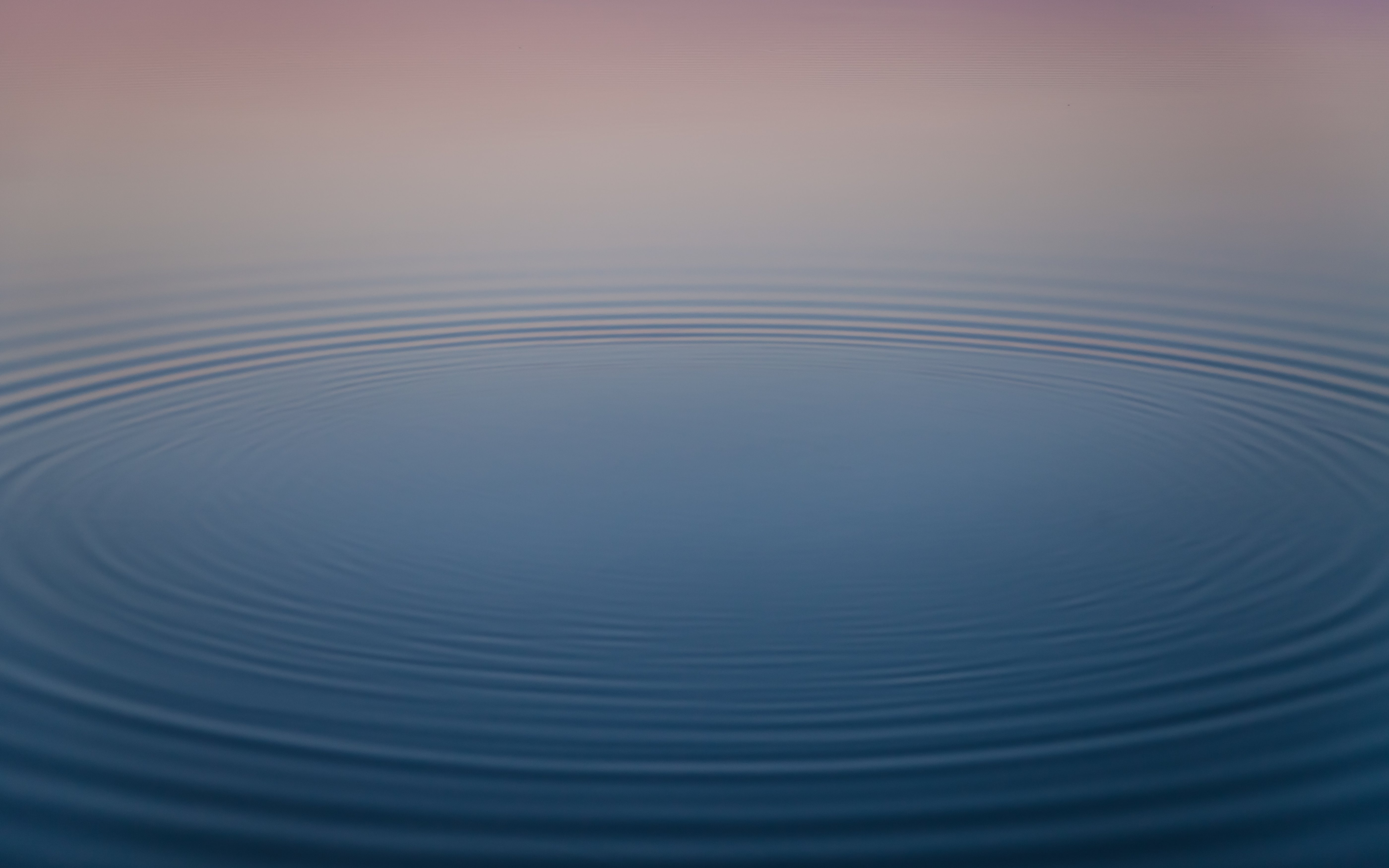 有料コンテンツ購入時の不具合について