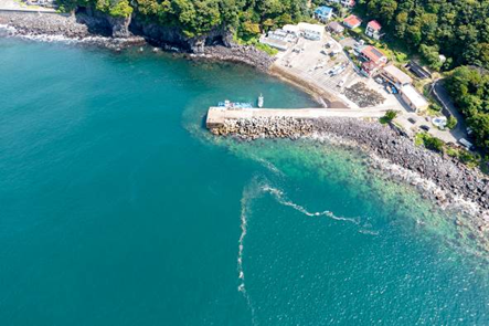 ～東伊豆の釣り場案内　熱海市～伊東市エリア　～　赤沢港（あかさわこう）空撮写真
