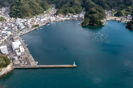 西伊豆釣り場紹介~西伊豆町エリア~ 田子港(たごこう)空撮写真