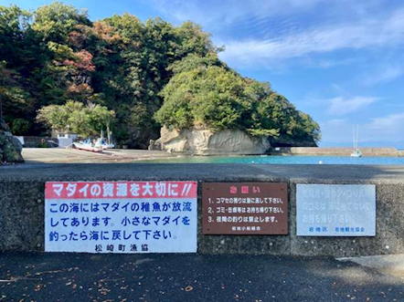 南伊豆釣り場紹介~松崎町エリア~ 岩地港(いわちこう)夜釣り禁止写真
