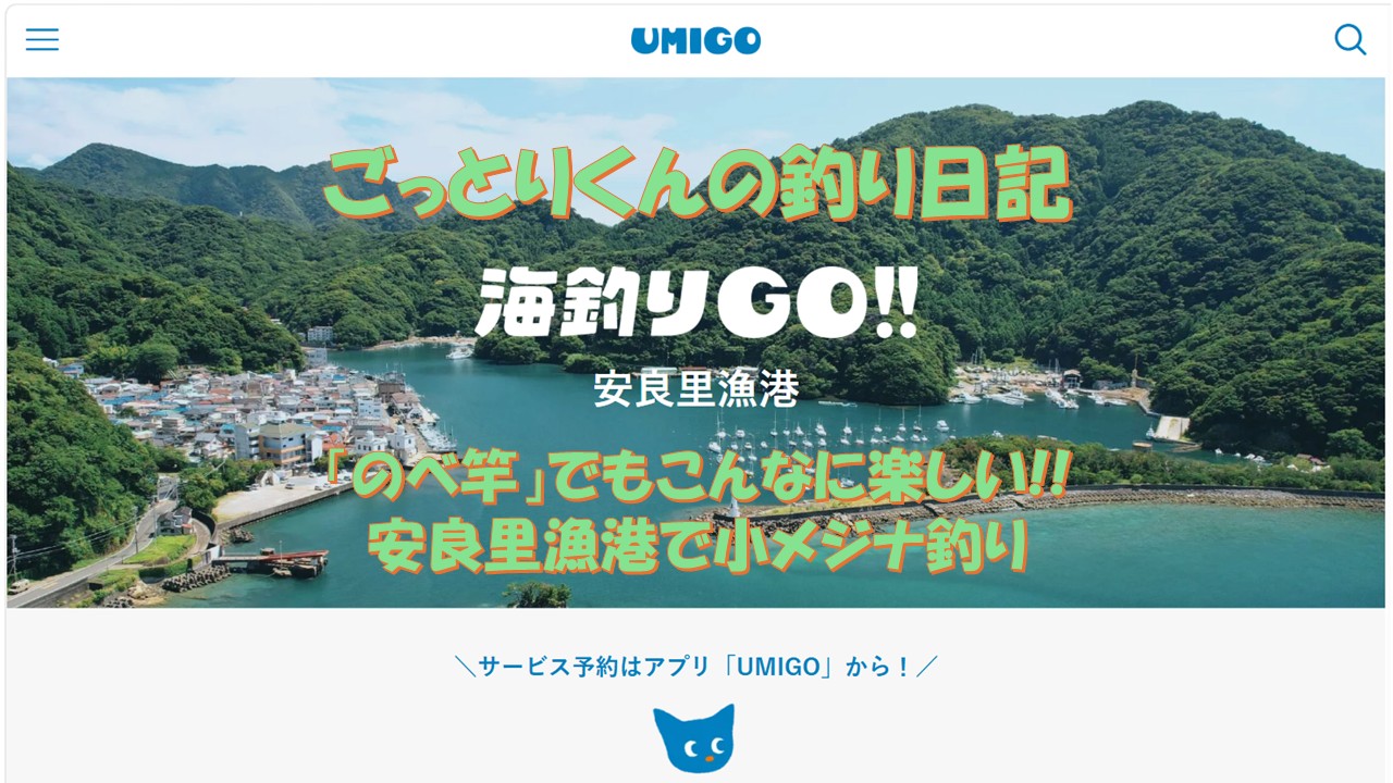 「のべ竿」でもこんなに楽しい!!安良里漁港で小メジナ釣り