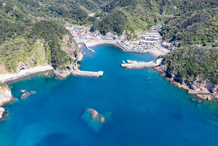 南伊豆釣り場紹介~南伊豆町エリア~ 中木港(なかぎこう)空撮写真
