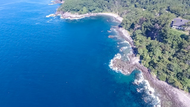 真鶴 カワウソ 空撮写真