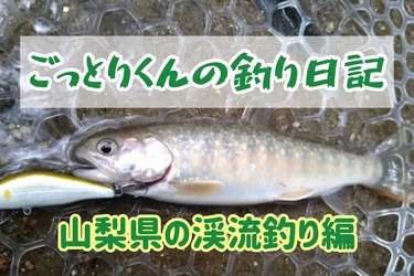 ごっとりくんの釣り日記＠山梨県甲州市高橋