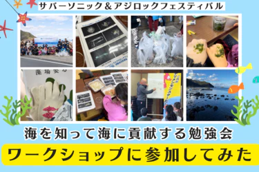 サバソニ！伊東の海を学ぶ勉強会へ参加してみました！