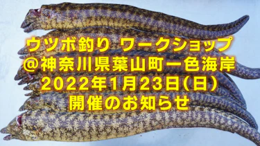 一色BOAT×釣りドコ 　ウツボ釣りワークショップ開催のお知らせ