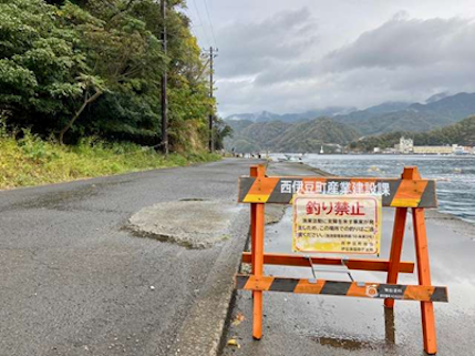 西伊豆釣り場紹介~西伊豆町エリア~ ブダイ場(ぶだいば)立入禁止写真