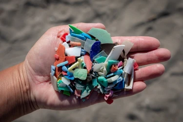 海岸清掃実施の報告